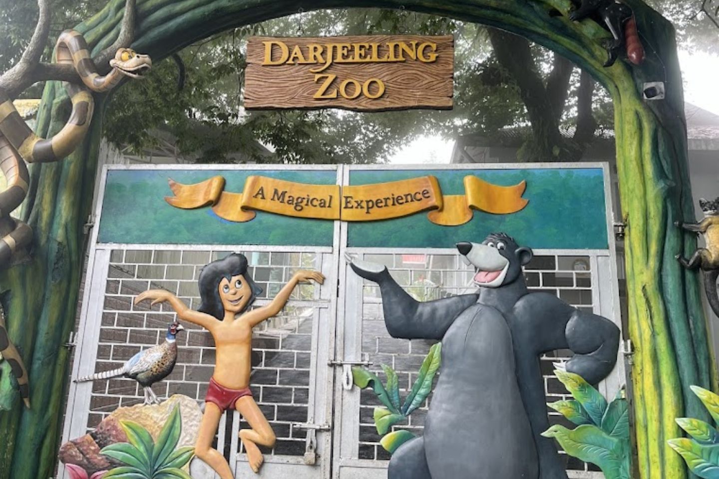 Padmaja Naidu Himalayan Zoological Park, Darjeeling